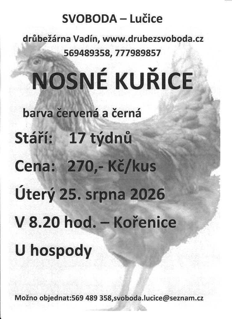 kurice